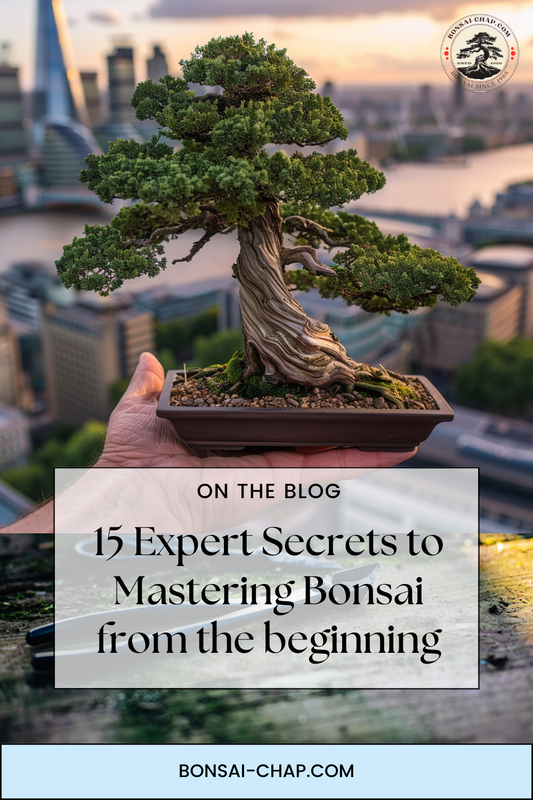 15 Expert Secrets to Mastering Bonsai from the beginning