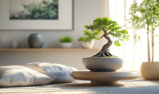 Are Bonsai Trees Easy to Take Care Of?