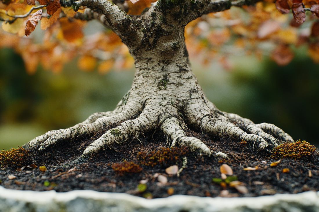 The Impact of Hard Water on Bonsai Trees: Symptoms, Effects, and Strategies for Prevention