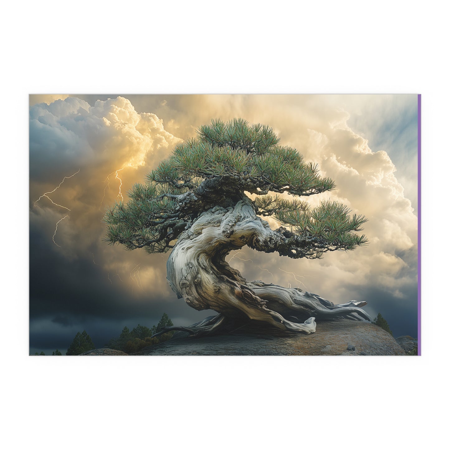 Bonsaitree in the Storm, Pinetree Bonsai Indoor and Outdoor Silk Posters