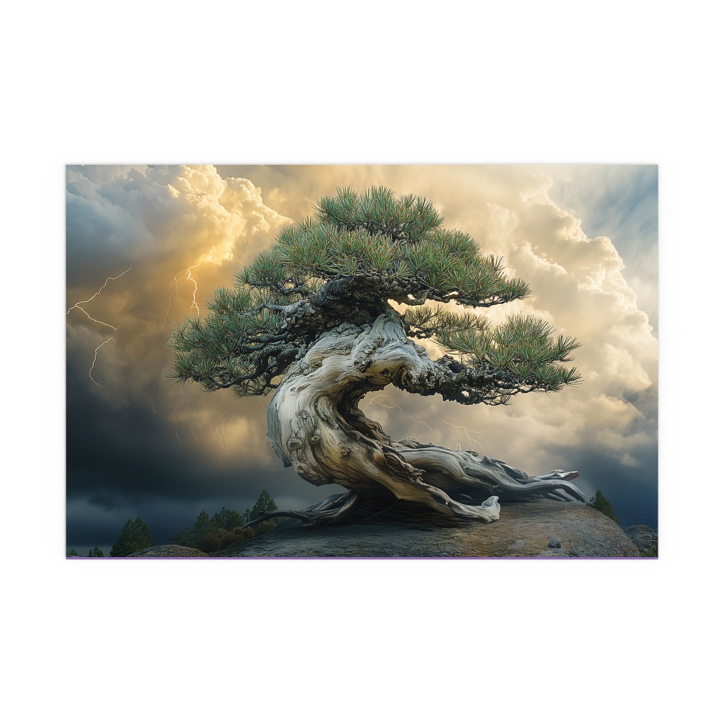 Bonsaitree in the Storm, Pinetree Bonsai Indoor and Outdoor Silk Posters