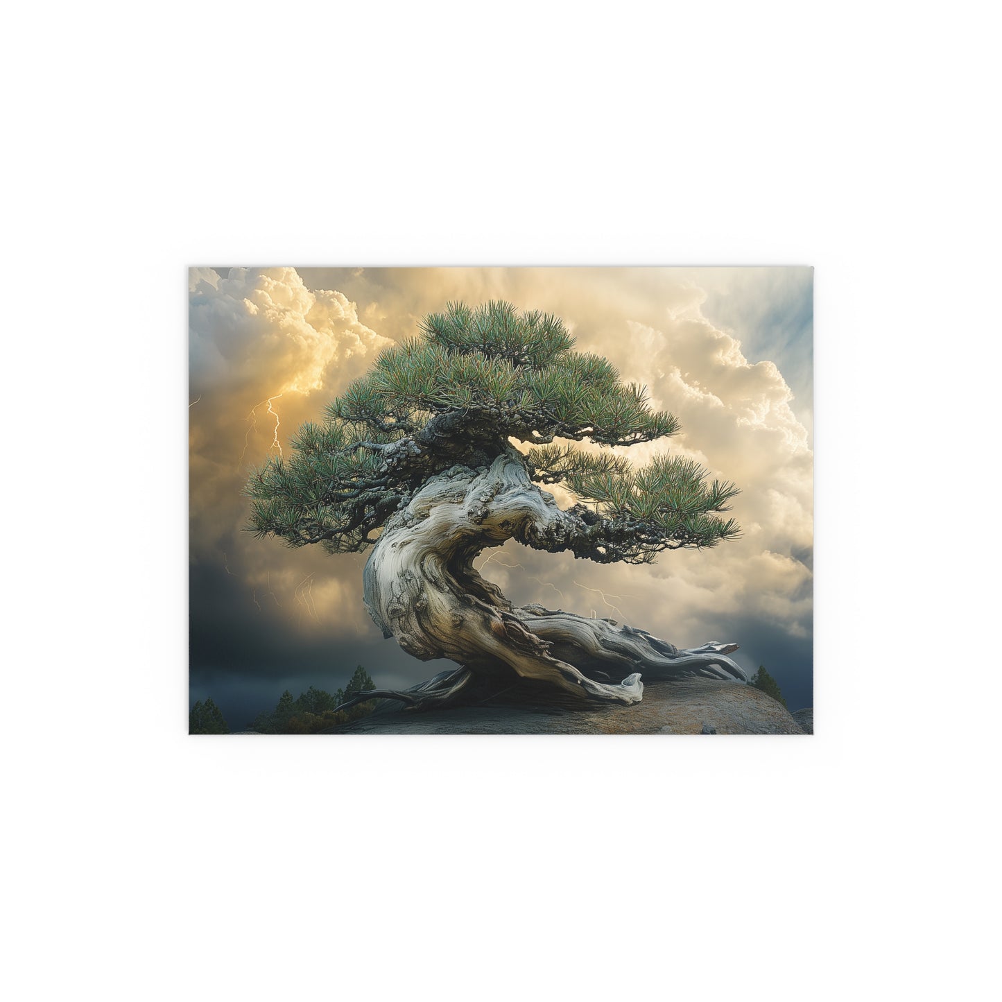 Bonsaitree in the Storm, Pinetree Bonsai Indoor and Outdoor Silk Posters