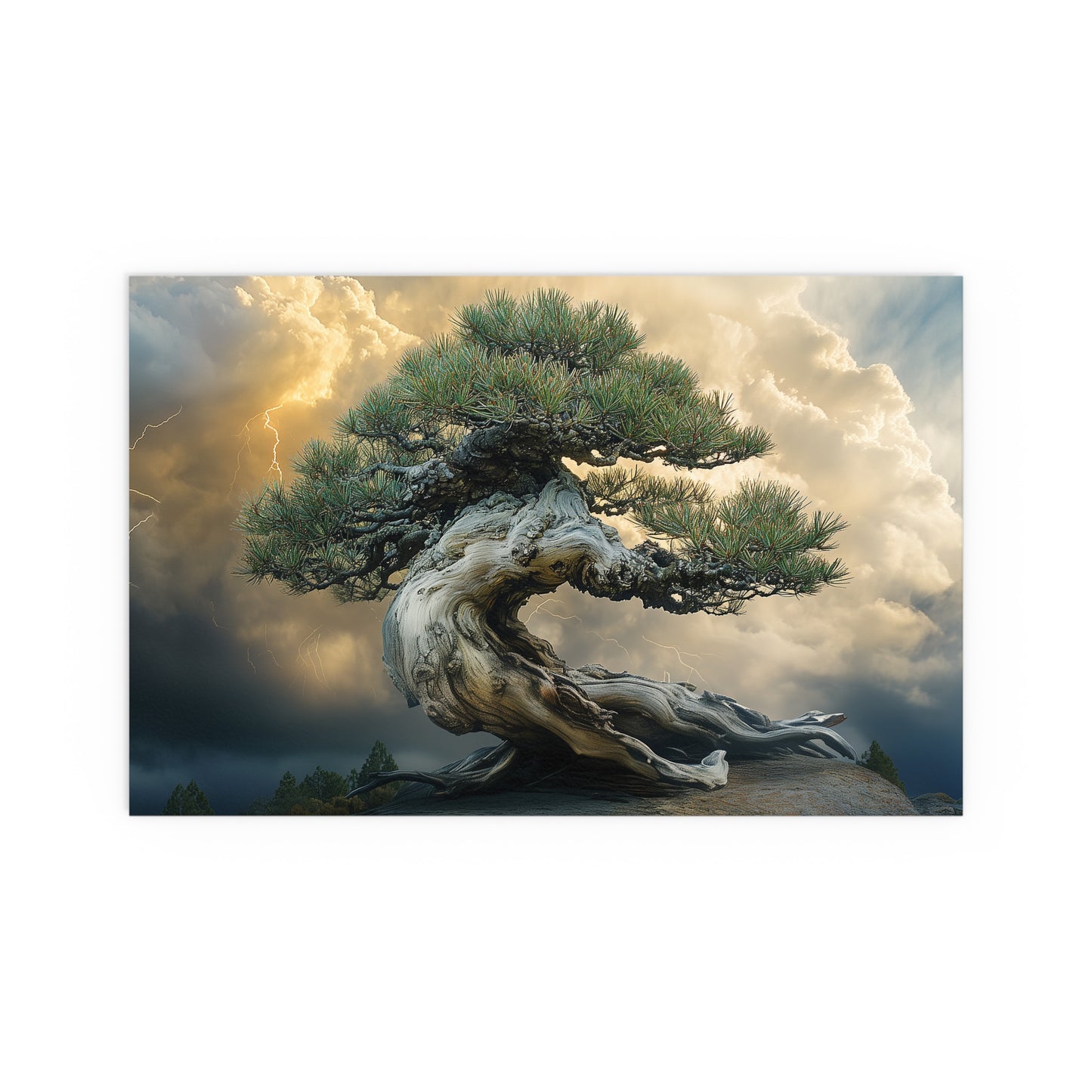 Bonsaitree in the Storm, Pinetree Bonsai Indoor and Outdoor Silk Posters