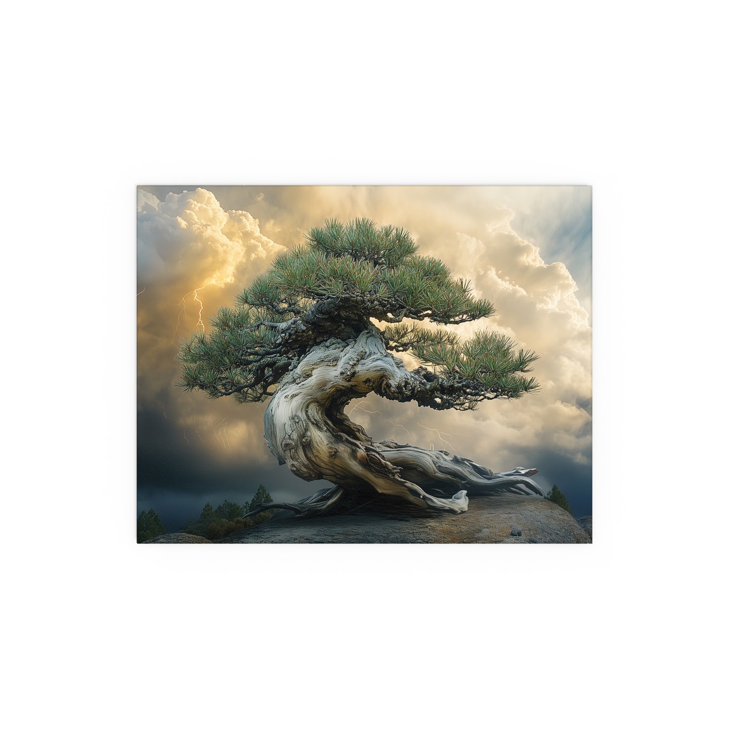 Bonsaitree in the Storm, Pinetree Bonsai Indoor and Outdoor Silk Posters