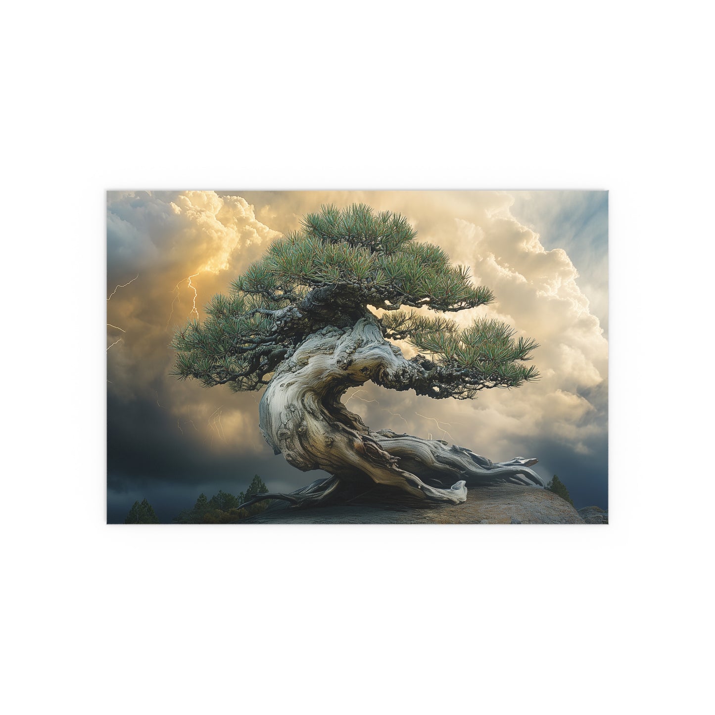 Bonsaitree in the Storm, Pinetree Bonsai Indoor and Outdoor Silk Posters