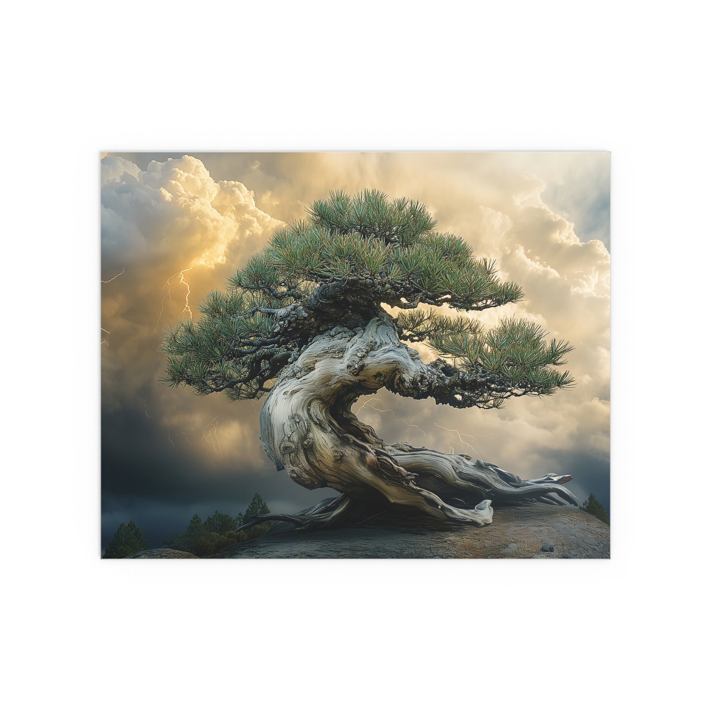 Bonsaitree in the Storm, Pinetree Bonsai Indoor and Outdoor Silk Posters