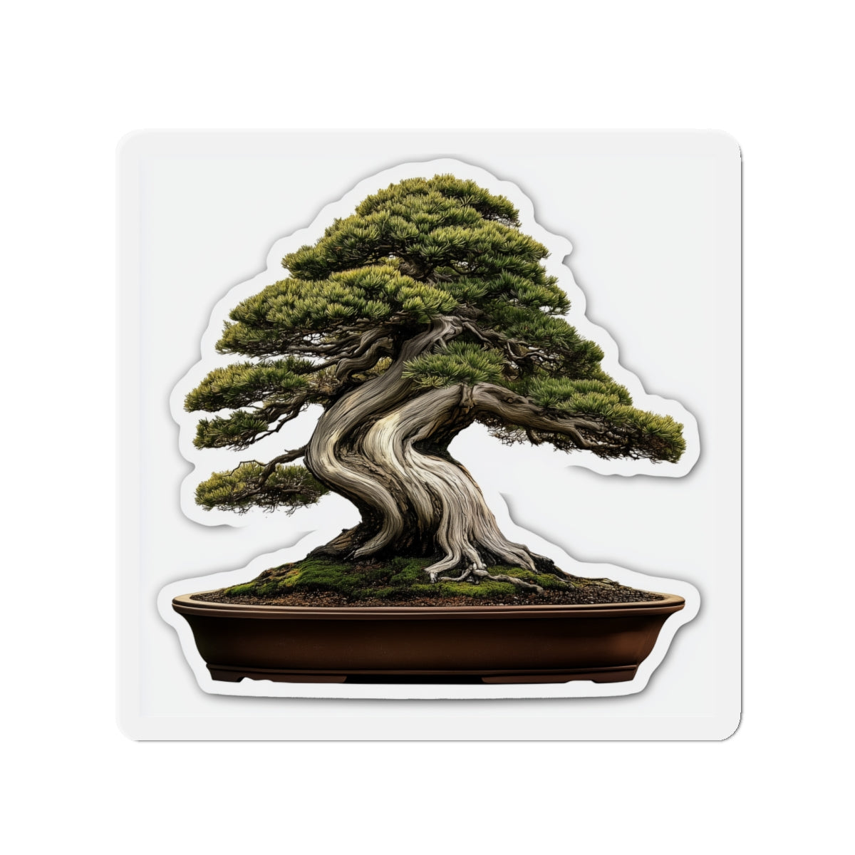 Bonsai Magnets