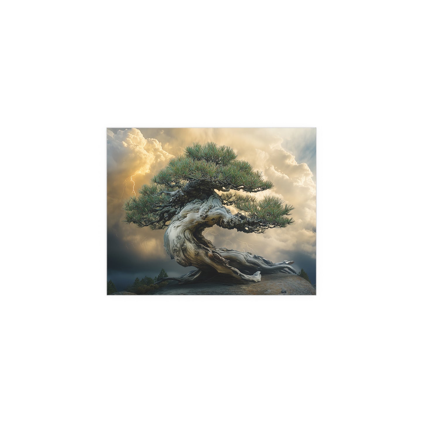 Bonsaitree in the Storm, Pinetree Bonsai Indoor and Outdoor Silk Posters