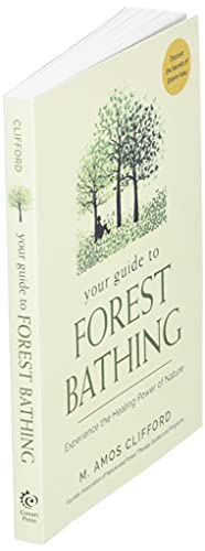 Your Guide to Forest Bathing: Experience the Healing Power of Nature