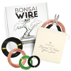 Leaves and Soul Tree Training Wire Kit - 5 Rolls (160ft) Aluminum Alloy Bonsai Plant Training Wire | Wire Cutter | Canvas Storage Bag - Bonsai Accessories for Beginners & Professionals