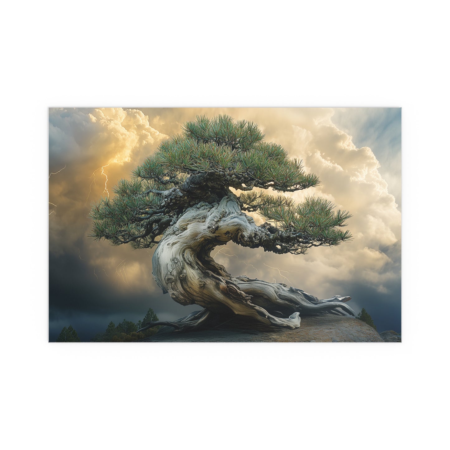 Bonsaitree in the Storm, Pinetree Bonsai Indoor and Outdoor Silk Posters