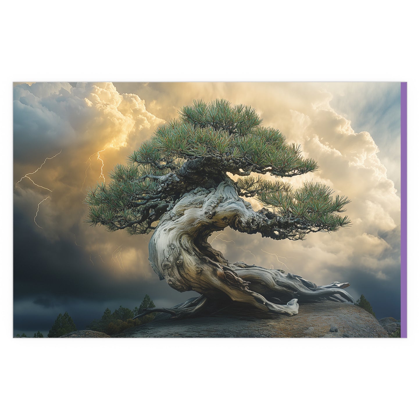 Bonsaitree in the Storm, Pinetree Bonsai Indoor and Outdoor Silk Posters