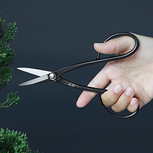 Wazakura Yasugi Steel Satsuki Bonsai Scissors for Trimming Made in Japan 7 inch (180 mm), Japanese Garden Bonsai Tools, Pruning Shears for Flowers and Herbs