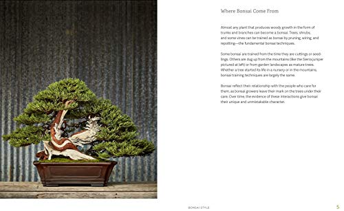 The Little Book of Bonsai: An Easy Guide to Caring for Your Bonsai Tree