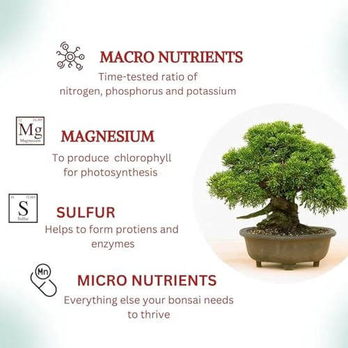 500 Grams Organic Bonsai Fertilizer - NPK Slow Release Formula, Bonsai Soil, Ready to Use Macro & Micro Nutrients Ferti Bonsa Food Ideal for All Indoor and Outdoor Bonsai Tree Plants in Pots