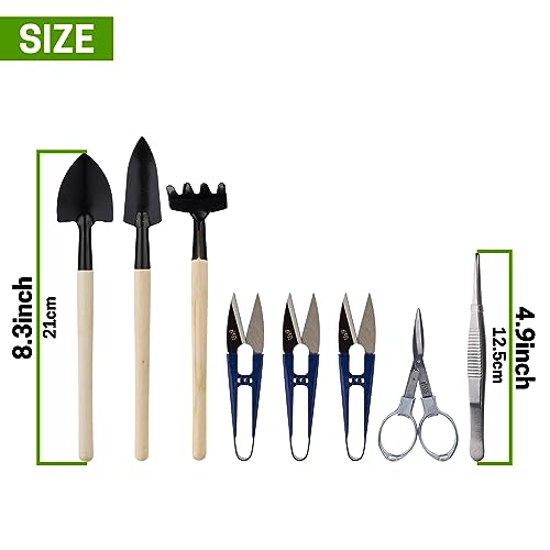 Bonsai Set 8 Pcs - Include Pruner,Fold Scissors,Mini Rake,Bud & Leaf Trimmer Set by ZELAR Made