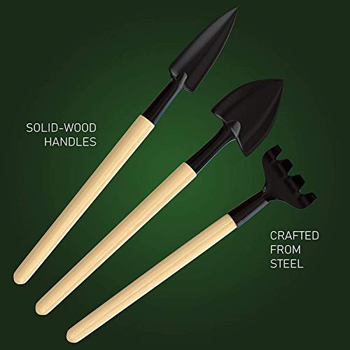 Planters' Choice Premium Bonsai Tool Kit + Bonsai 101 Book -Set Includes:Wooden Rake, Long & Wide Spades, Scissors, Tweezers, Bamboo Brush, & Pruning Shears (Trimmer/Clipper) in Fabric Storage Holder