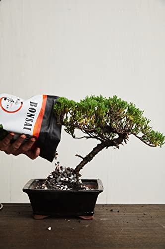 Bonsai Soil by The Bonsai Supply – 2qts. Professional Bonsai Soil Mix | Ready to use| Great for All Bonsai Tree Varieties.