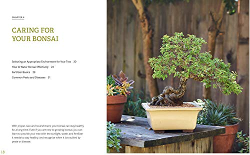 The Little Book of Bonsai: An Easy Guide to Caring for Your Bonsai Tree