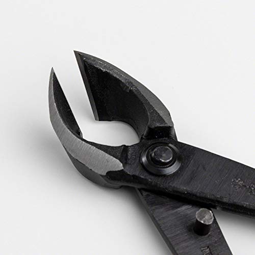 Wazakura Hand Forged Bonsai Concave Branch Cutter, Made in Japan 8 inch (200mm), Japanese Gardening Tools, Straight Edge Black