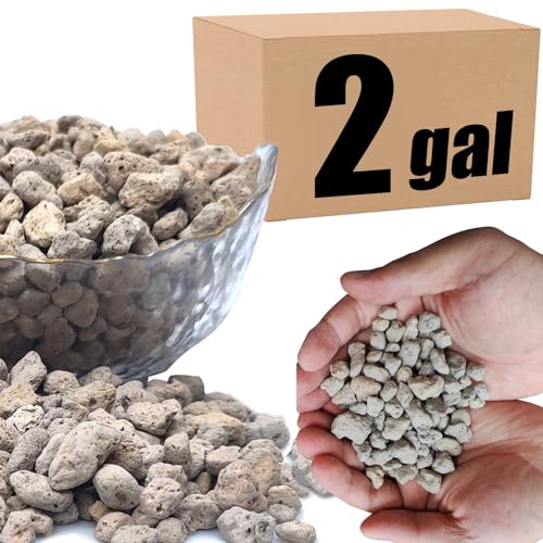 Organic Pumice for Bonsai and Horticultural 100% Natural (2 gallons, 3/8 inch)