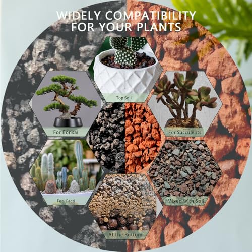 Lava Rocks for Plants, 5lbs Volcanic Stones Gravel Horticultural Drainage Potting Soil for Indoor Outdoor Plants, Succulents, Bonsai, Cactus, Vase Fillers, Top Dressing (5LBS, Black, 1)