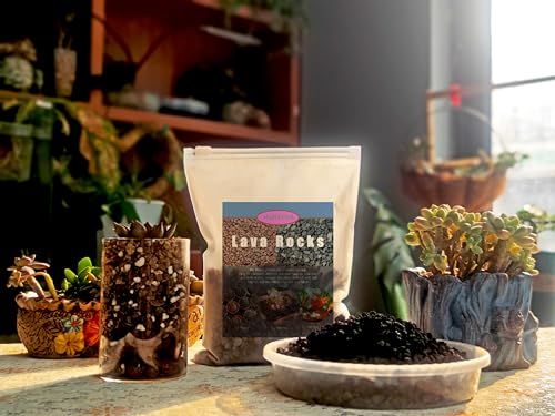 Lava Rocks for Plants, 5lbs Volcanic Stones Gravel Horticultural Drainage Potting Soil for Indoor Outdoor Plants, Succulents, Bonsai, Cactus, Vase Fillers, Top Dressing (5LBS, Black, 1)