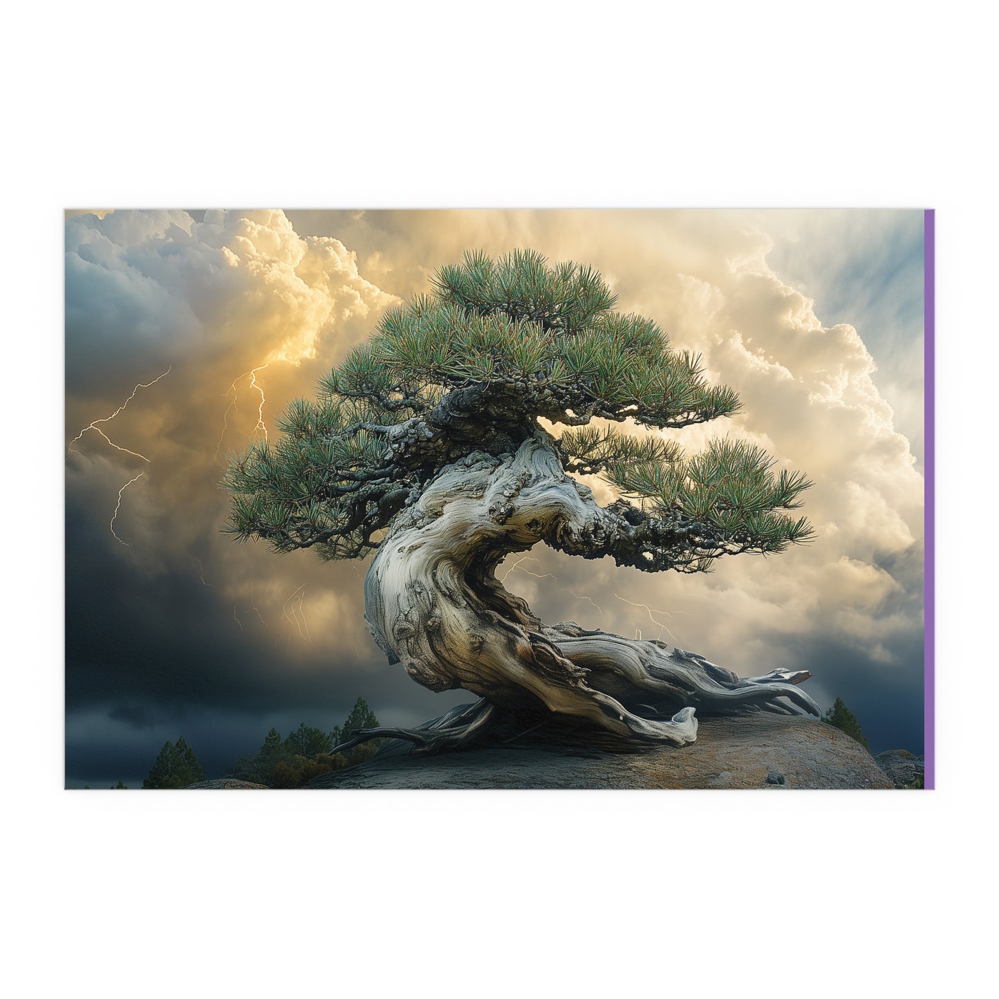 Bonsaitree in the Storm, Pinetree Bonsai Indoor and Outdoor Silk Posters