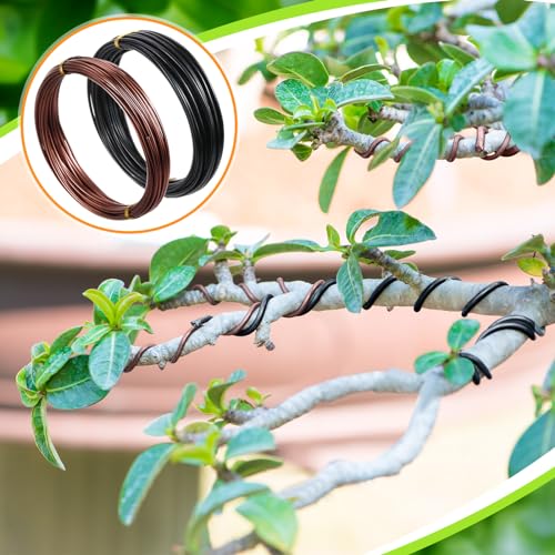 5 Roll Aluminum Bonsai Training Wire Tree 160 Feet Total with Bonsai Wire Cutter Anodized Wire 1/1.5/2.0 mm Training Wire for Holding Bonsai Branches Small Trunks