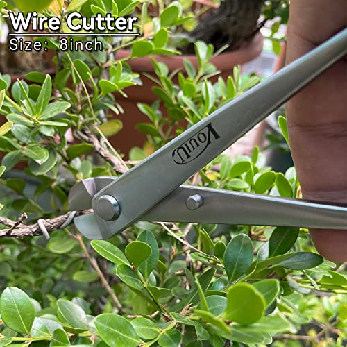 6-Piece Bonsai Tool Set,Concave Cutter,Knob Cutter,Jin Pliers,Wire Cutter,Bonsai Scissors, Bonsai Root Hook