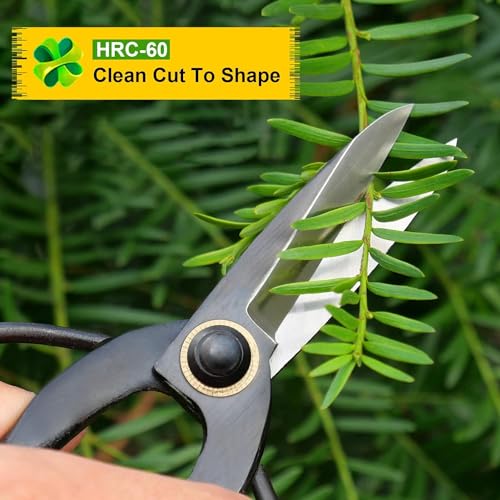 Professional Bonsai Scissors 7.3", Bonsai Shears for Gardening, Bonsai Pruning Shears for Arranging Flowers, 180mm Bonsai Clippers for Trimming Plants, Black