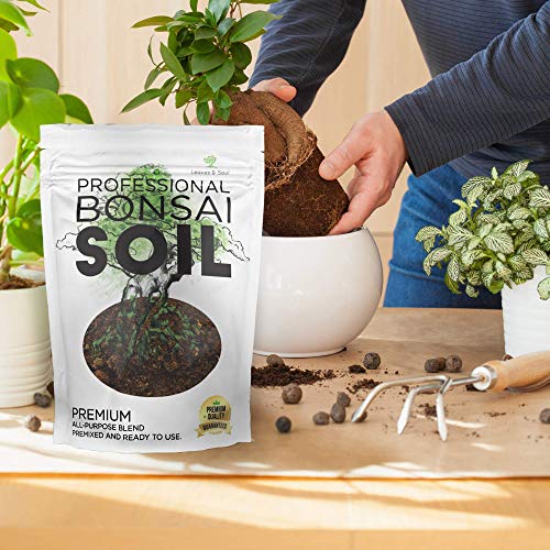 Bonsai Soil Premium All Purpose Blend | Pre-Mixed Ready to Use for Fast Drainage | Large 2.2 Quarts | Lava, Limestone Pearock, Calcined Clay and Pinebark | Made in USA