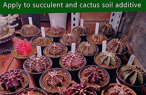 Horticultural Akadama Soil - Cactus Bonsai Succulent Soil Additive for Plants, Landscaping, Vase Fillers (18 LB, 1/8 inch)