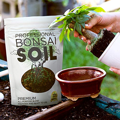 Bonsai Soil Premium All Purpose Blend | Pre-Mixed Ready to Use for Fast Drainage | Large 2.2 Quarts | Lava, Limestone Pearock, Calcined Clay and Pinebark | Made in USA