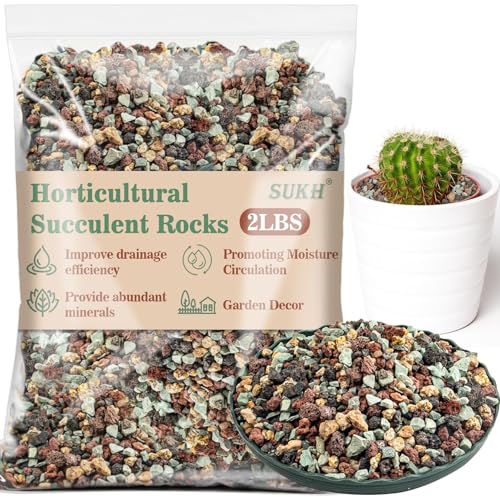 Sukh 2LBS Horticultural Succulent Rocks Bonsai Mix Succulent Potting Mix Lava Rocks Cactus Soil Potting Mix Amendment.