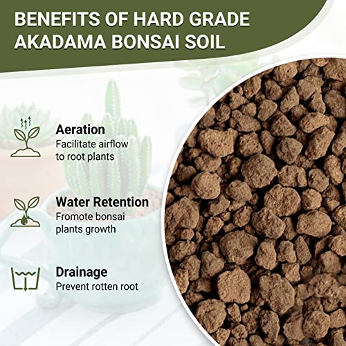 Akadama Bonsai Soil for Succulents and Cactus, 2.7lb Hard Akadama Soil Cacti Succulent Soil Amendment for Bonsai Trees, Good Drainage Growing Medium for Plants Root Growth