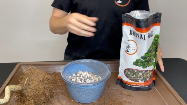 Bonsai Soil by The Bonsai Supply – 2qts. Professional Bonsai Soil Mix | Ready to use| Great for All Bonsai Tree Varieties.