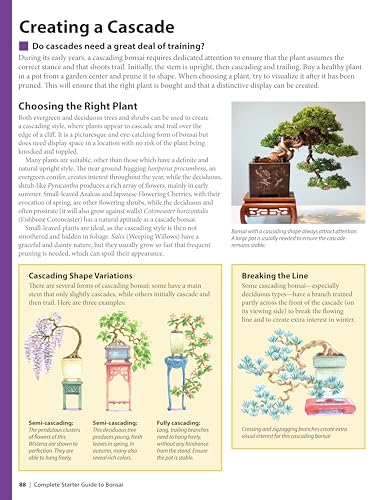 Complete Starter Guide to Bonsai: Growing from Seed or Seedling - Wiring, Pruning, Care, and Display (Creative Homeowner) Beginner-Friendly Details for the Japanese Art of Bonsai Tree Care