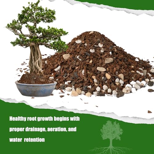 Bonsai Soil Mix Ready to Use (1qt), Premium Fast Draining Organic All Purpose Potting Mix for All Varieties of Bonsai