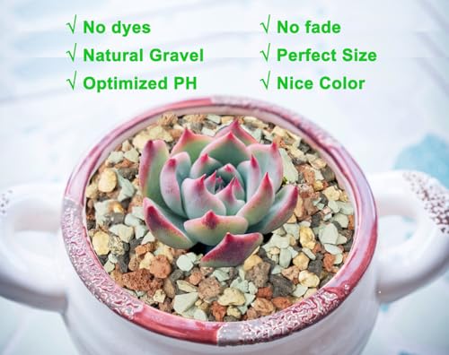 2.4lb Bonsai Succulent and Cactus Soil Boniosz Gritty Mix Rocks Faster Draining Optimized PH No Root Rot