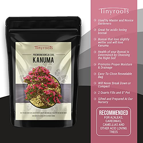 Kanuma Bonsai Soil by Tinyroots- 2 Quarts, Used with Acid Loving Bonsai Trees, Camellias, Gardenias, Azaleas, 5 Millimeter