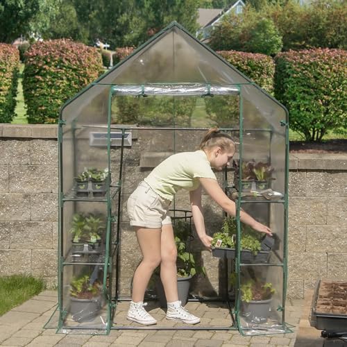 Miracle-Gro 4'8" x 29" x 6'5" All-Season Mini Walk-in Greenhouse with 4 Wire Shelves for Outdoors, Easy-Access and Durable, Translucent