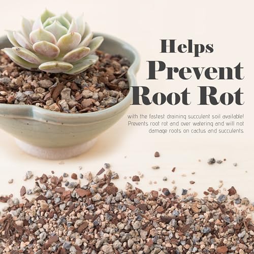 Bonsai Succulent and Cactus Soil - Jacks Gritty Mix #111 - Fast Draining – Fights Root Rot – Optimized pH (1/2 Gallon / 2 Dry Quarts)