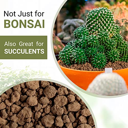 Akadama Bonsai Soil for Succulents and Cactus, 2.7lb Hard Akadama Soil Cacti Succulent Soil Amendment for Bonsai Trees, Good Drainage Growing Medium for Plants Root Growth