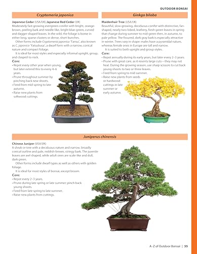 Complete Starter Guide to Bonsai: Growing from Seed or Seedling - Wiring, Pruning, Care, and Display (Creative Homeowner) Beginner-Friendly Details for the Japanese Art of Bonsai Tree Care