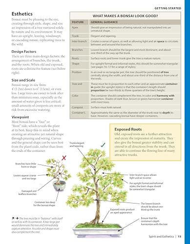 Complete Starter Guide to Bonsai: Growing from Seed or Seedling - Wiring, Pruning, Care, and Display (Creative Homeowner) Beginner-Friendly Details for the Japanese Art of Bonsai Tree Care