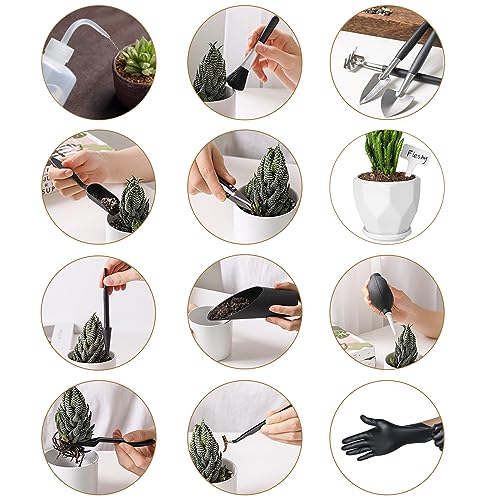 Melphoe 25Pcs Mini Garden Hand Transplanting Succulent Tools Set, 39.4" Thickened Repotting Mat & Plant Tag, Miniature Planting Indoor Fairy Care, Potting, Cactus, Houseplant Bonsai Tool Kit (Black)