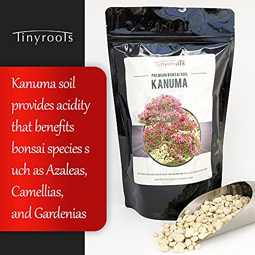 Kanuma Bonsai Soil by Tinyroots- 2 Quarts, Used with Acid Loving Bonsai Trees, Camellias, Gardenias, Azaleas, 5 Millimeter