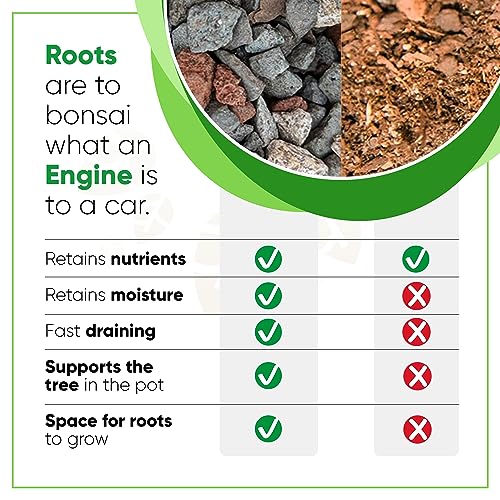 Bonsai Outlet Bonsai Soil Mix - Tinyroots All Purpose Bonsai Soil Mix Ready to Use Blend, Used for All Varieties of Bonsai Trees, 2.5 Gallons