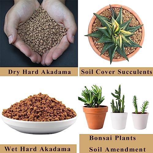 6lb Hard Akadama Bonsai Soil 3-6mm Small Grain for Cactus, Succulents, Bonsai Plants Soil Amendment, Prevent Over Water, Provides Optimal Water Retention, Fast Drainage